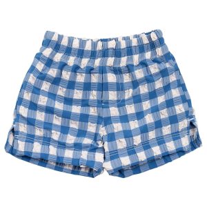 Blue Gingham Mini Swim Trunk