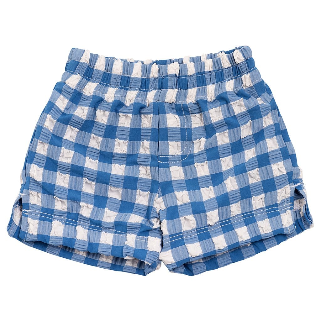 blue-gingham-mini-swim-trunk-800267