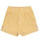 canary-stripe-mini-swim-trunk-205369